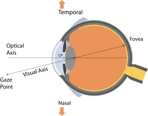 Eye Gaze Tracking: Applications, Techniques, and Key Metrics - Datagen